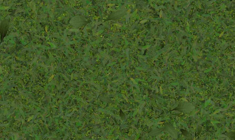 A Free CC0 Public Domain Green Grass, Foliage, Lush Green, Shades of Green Photoshop Texture and 3D model / Blender Texture