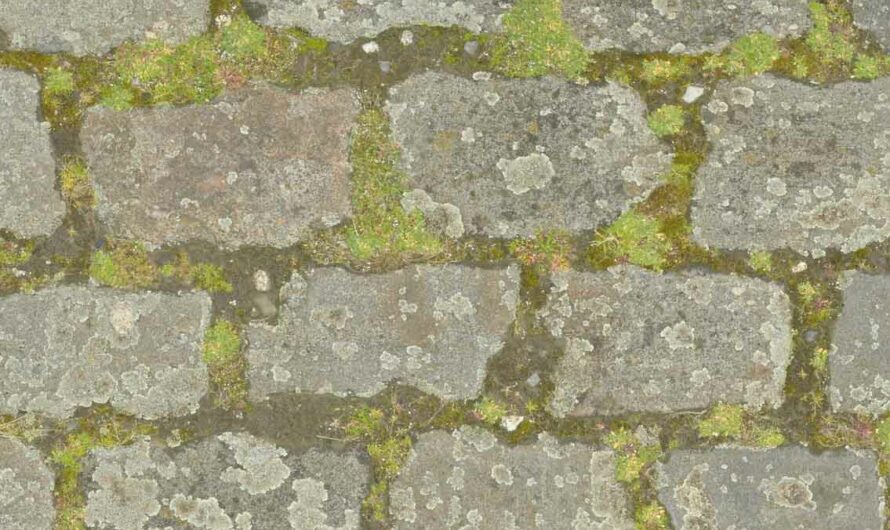 A free CC0 public medieval road, old stone road or walkway, rock pavement with stone paving photoshop texture and 3D models texture