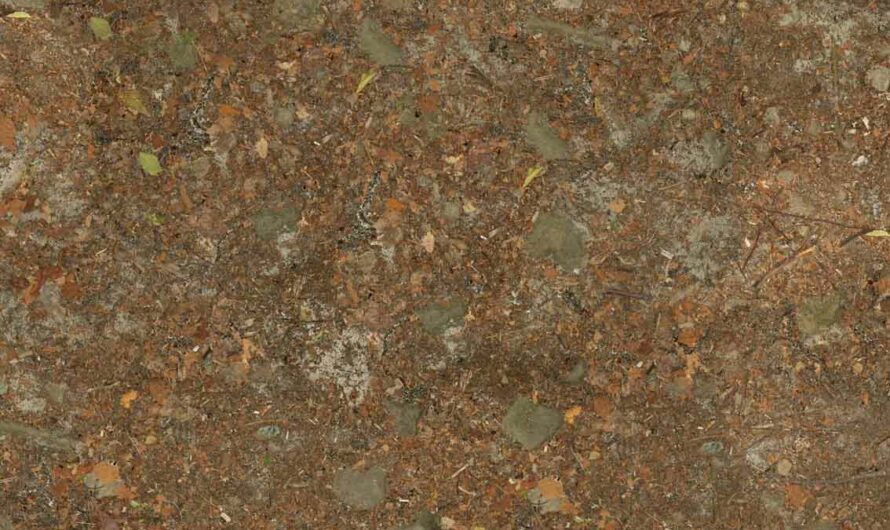 A free CC0 public domain ground, mud, dirt, rock, mud, leaves, foliage photoshop texture and 3D models texture