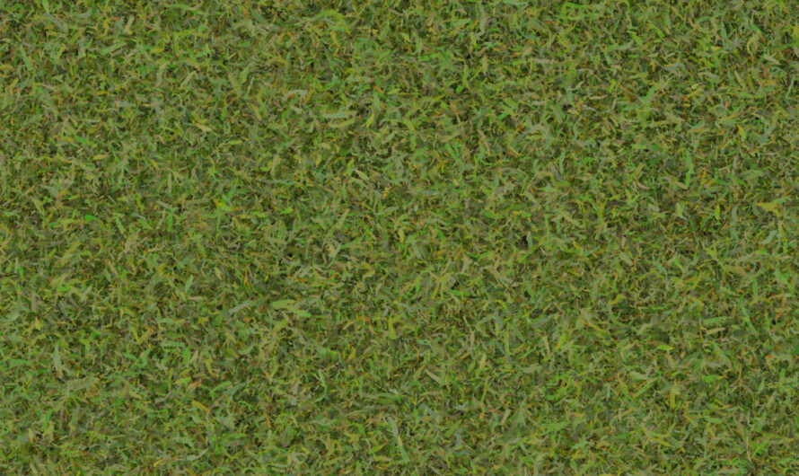 A Free CC0 public domain grass, green grass, foliage, green foliage photoshop, 3D model and blender texture